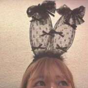 ヒメ日記 2026/07/31 10:23 投稿 ここ アラモード