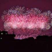 ヒメ日記 2026/08/01 22:40 投稿 なつ 変態なんでも鑑定団