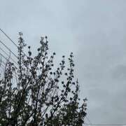 ヒメ日記 2026/08/03 18:40 投稿 杉山あみ イマジン東京