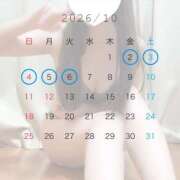 ヒメ日記 2026/09/19 14:02 投稿 すみれ Gossip girl成田店