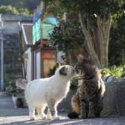 ヒメ日記 2026/08/10 07:03 投稿 あすみ 千葉松戸ちゃんこ