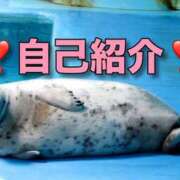 ヒメ日記 2026/08/29 13:25 投稿 あすみ 千葉松戸ちゃんこ