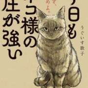 ヒメ日記 2026/08/31 06:48 投稿 あすみ 千葉松戸ちゃんこ