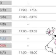 ヒメ日記 2025/03/24 21:36 投稿 くれあ ニュー不夜城