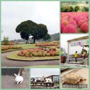 ヒメ日記 2025/10/19 18:26 投稿 くれあ ニュー不夜城