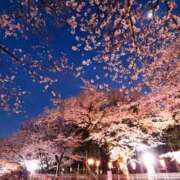 ヒメ日記 2026/03/19 19:46 投稿 くれあ ニュー不夜城