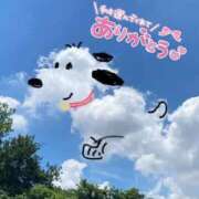 ヒメ日記 2026/07/31 16:54 投稿 ななせ 即アポ奥さん ～津・松阪店～