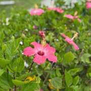 なぎさ 昨日🫶 西船人妻花壇
