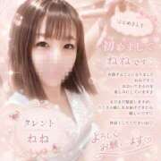 ねね 🆕はじめまして！🆕 TALENT（タレント）