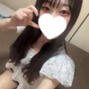 ヒメ日記 2026/08/24 14:46 投稿 まよい IRIS(岐阜)