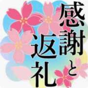 ヒメ日記 2026/08/16 11:35 投稿 蛍原 熟女の風俗最終章 横浜本店