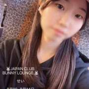 ヒメ日記 2026/08/01 08:02 投稿 せい JAPAN CLUB BUNNY LOUNGE