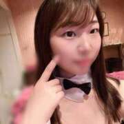 ヒメ日記 2026/08/12 12:30 投稿 せい JAPAN CLUB BUNNY LOUNGE