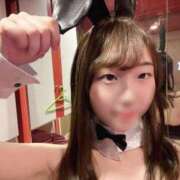 ヒメ日記 2026/08/14 14:00 投稿 せい JAPAN CLUB BUNNY LOUNGE