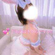 ヒメ日記 2026/09/05 12:02 投稿 さくら 金沢人妻城