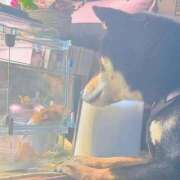 ヒメ日記 2026/08/06 10:27 投稿 アキホ 人妻生レンタルNTR