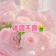 ヒメ日記 2026/09/22 15:40 投稿 アキホ 人妻生レンタルNTR