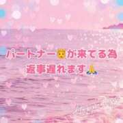 ヒメ日記 2026/09/25 19:34 投稿 アキホ 人妻生レンタルNTR