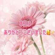 ヒメ日記 2026/10/08 00:20 投稿 アキホ 人妻生レンタルNTR
