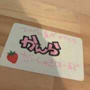 ヒメ日記 2026/08/11 16:16 投稿 かんら アイドル育成プロジェクト だいしゅきほーるど梅田店