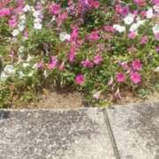 ヒメ日記 2026/08/10 16:40 投稿 恵(めぐみ) エッチな熟女(広島)