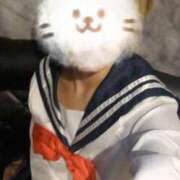 ヒメ日記 2026/08/08 15:41 投稿 れん ベイビーモコ