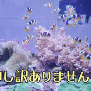 ヒメ日記 2026/10/20 20:03 投稿 まの 鶯谷デリヘル倶楽部