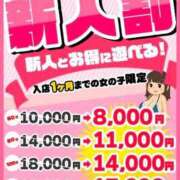 ヒメ日記 2026/08/15 14:15 投稿 のん ぽっちゃり巨乳素人専門店ぷにめろ渋谷店