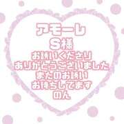 ヒメ日記 2026/09/26 19:40 投稿 のん ぽっちゃり巨乳素人専門店ぷにめろ渋谷店