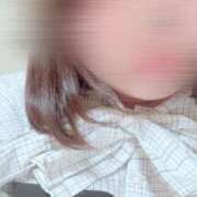 ヒメ日記 2026/08/19 19:50 投稿 まみ ぷるるん小町 京橋店