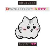 ヒメ日記 2026/10/01 16:34 投稿 るる【エロ秘めた清楚】 STELLA TOKYO－ステラトウキョウ－