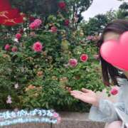 ヒメ日記 2026/09/20 13:15 投稿 小林（こばやし） Exe～エグゼ～
