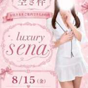ヒメ日記 2026/08/15 07:27 投稿 Sena LUXURY（ラグジュアリー）