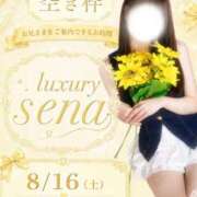 ヒメ日記 2026/08/16 06:23 投稿 Sena LUXURY（ラグジュアリー）