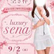 ヒメ日記 2026/09/02 08:20 投稿 Sena LUXURY（ラグジュアリー）