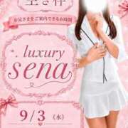 ヒメ日記 2026/09/03 08:22 投稿 Sena LUXURY（ラグジュアリー）