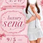 ヒメ日記 2026/09/05 08:23 投稿 Sena LUXURY（ラグジュアリー）