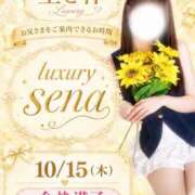 ヒメ日記 2026/10/15 07:01 投稿 Sena LUXURY（ラグジュアリー）