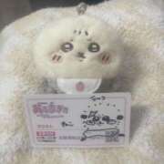 ねこ【あるまぎ！】 ブログ10日目 あるまぎ！