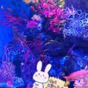 ヒメ日記 2026/09/07 17:34 投稿 那帆(なほ) モアグループ厚木人妻城