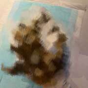 ヒメ日記 2026/09/10 20:39 投稿 いちか 排泄マニア