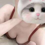 ヒメ日記 2026/09/13 13:37 投稿 しおり【与田〇希激似の美女】 STELLA TOKYO－ステラトウキョウ－