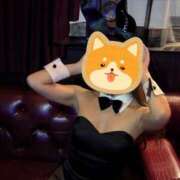 ヒメ日記 2026/08/14 00:04 投稿 えり★S級容姿端麗な美の結晶★ 渋谷S級素人清楚系デリヘル chloe