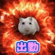 しの います🫶🏻 花火-hanabi-(すすきの)