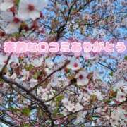 ヒメ日記 2026/09/10 16:42 投稿 みな あふたーすくーる本店