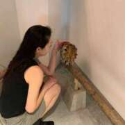 ヒメ日記 2026/08/15 08:32 投稿 白鳥 あみ こあくまな熟女たち 加古川店 (KOAKUMAグループ)