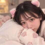 ヒメ日記 2026/09/29 07:54 投稿 ゆいな ルーフ福井