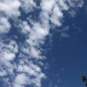 ヒメ日記 2026/08/07 11:28 投稿 一ノ瀬（いちのせ） あさがお