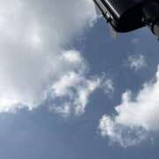 ヒメ日記 2026/09/16 10:18 投稿 一ノ瀬（いちのせ） あさがお