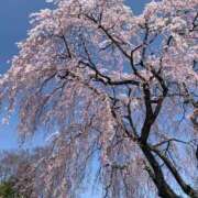 桜葉 ありがとう❤️ 川越勃たせる妻たち